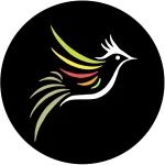 دانلود برنامه بلبل جان جدید و رفع توقیف شده BolBol Jan【اندروید + تی وی + هوشمند】